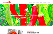 Responsive Webdesign - ernährung e3, Ingenieurbüro für Ernährungswissenschaften